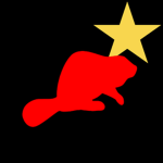 The New Order of Roblox [TNO]