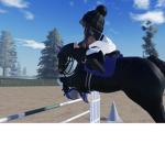 Golden Hill Stables