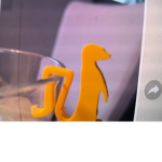Erdmännchen klasse