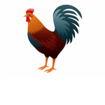 Chickens/Roosters United