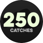 250 Catches