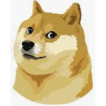 THE DOGES TRUE ARMY