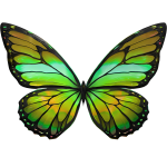 ✅Mega Limited U Butterfly Wings🦋