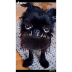 jackyg20