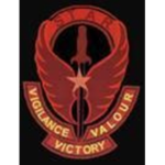 Special Tactics And Rescue