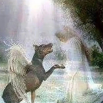 2angels