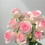 rosy clothinq