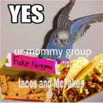 ur mommy group