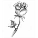 passionates