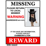 missing person.