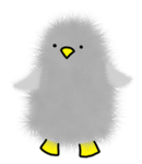 pablo the mexican penguin