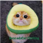 AvocadoCat Clothing