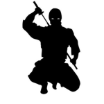 Enlightened Ninjas