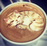. brew & bliss .