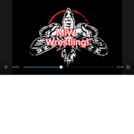 MIW (Most Important Wrestling)