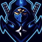The Ninja;s