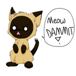MEOW SQUAD <3