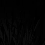 Shards of Genesis Group Thumbnail