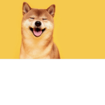 Doge elite army