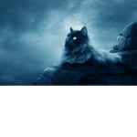 warriorcats moonclan