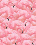 Flamingo's clothing group!