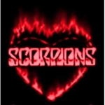 #Scorpion Gymnastics