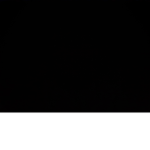 The Husky Gamer group