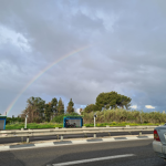 משףחת כהן