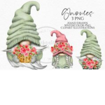 *The Cxte Gnomes!*