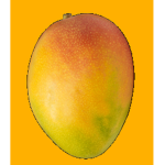 Mango Production Studios