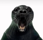 Seal Unsealed