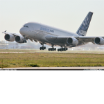 Harbor Fleet Airlines