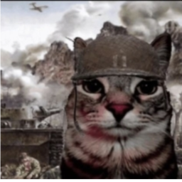 Battle With Bombs!