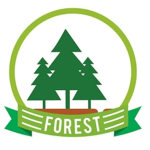 The Team Forest