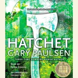 Hatchet   icon