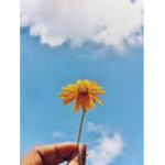 giveaways by vxqqq