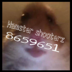 Hamster shooterz