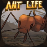 GROUP OF ANT LOVING