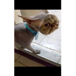 •ʟᴜʟʟᴀʙʏ•
