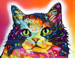 Kitteey's Group