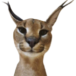 Zefloppagroup