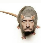 Queen Billy Bob