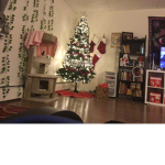 Christmas tree lol