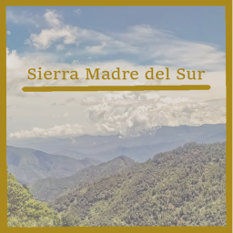 Battle of The Sierra Madre del Sur