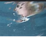 Mermaids doom