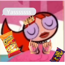 DONT BULLY BACONS STORY
