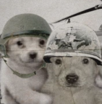 Bailed's Military Surplus