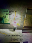 ekittenfinder