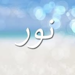 مملكة نور