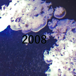 200Eight